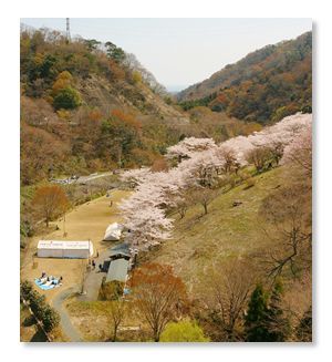 花貫さくら公園