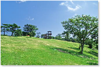 土岳