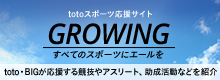 スポーツ振興くじ助成金 growing