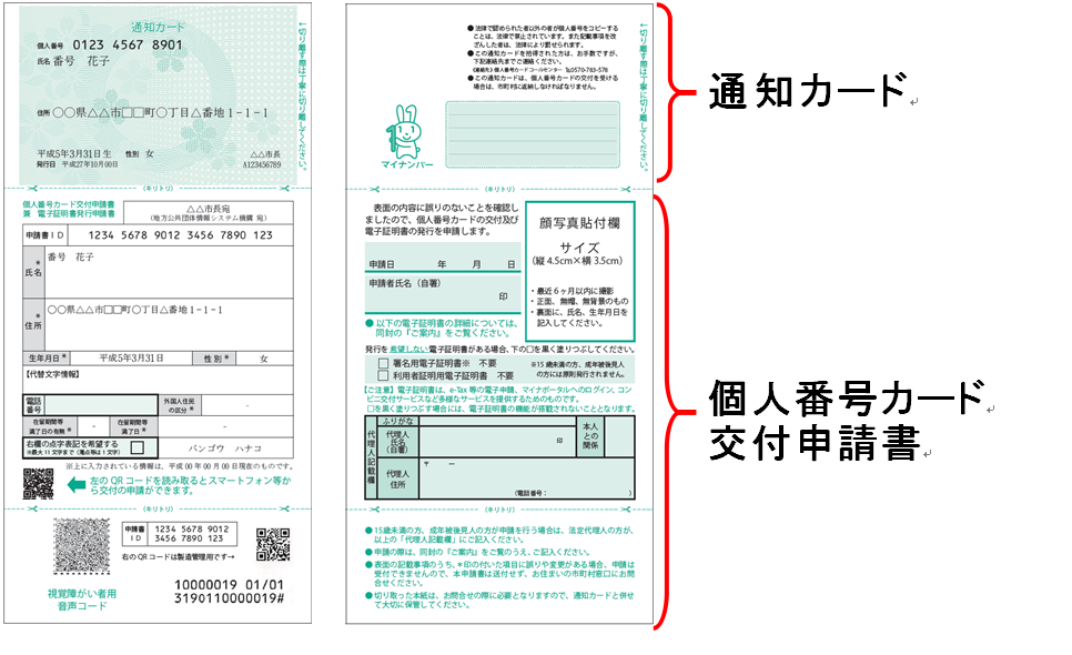 通知カード送付