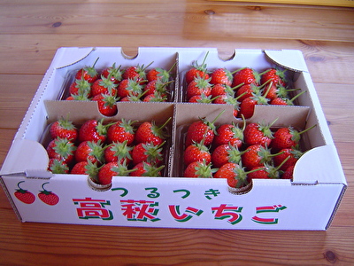 ichigo