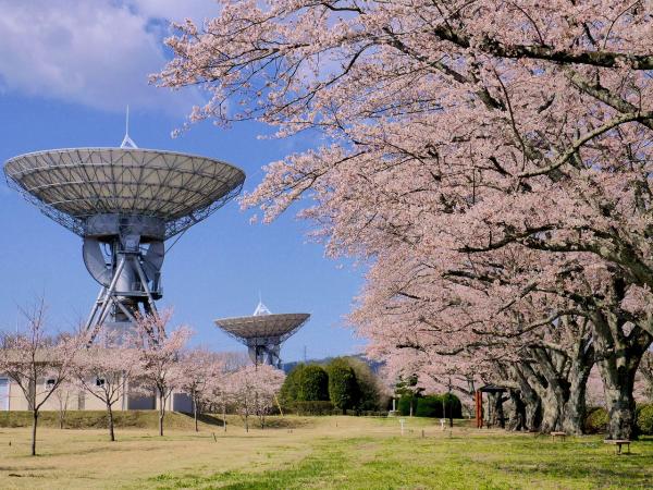 ロケ さくら宇宙公園