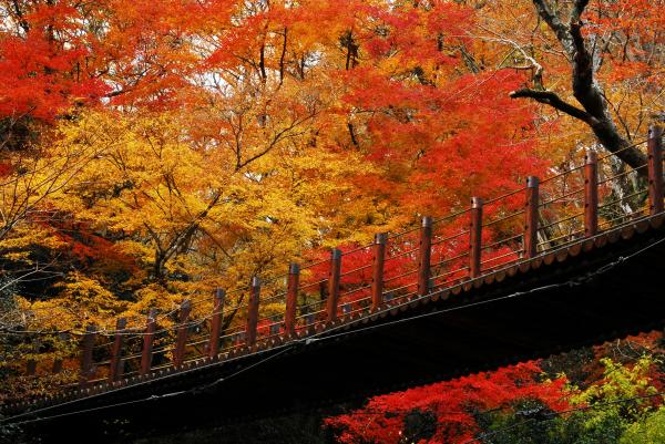 ロケ 花貫渓谷