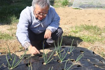 畑の様子を見る