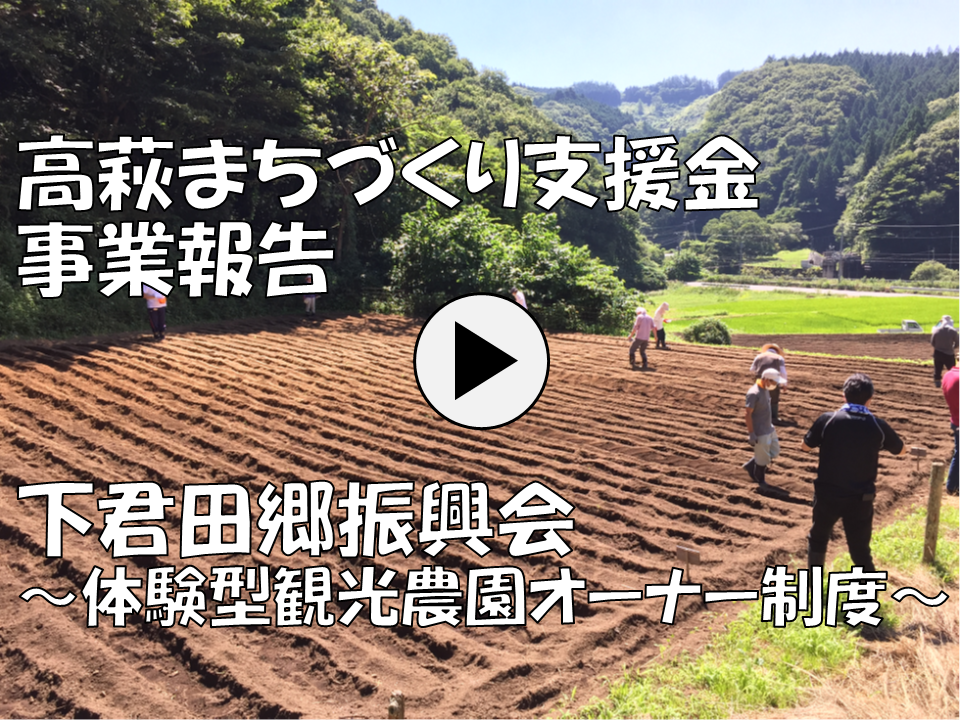 サンプル画像