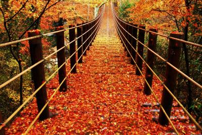 花貫渓谷(汐見滝吊り橋)