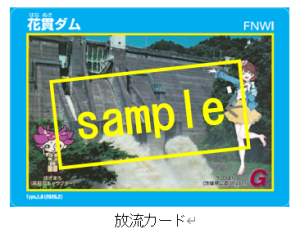 放流カードサンプル