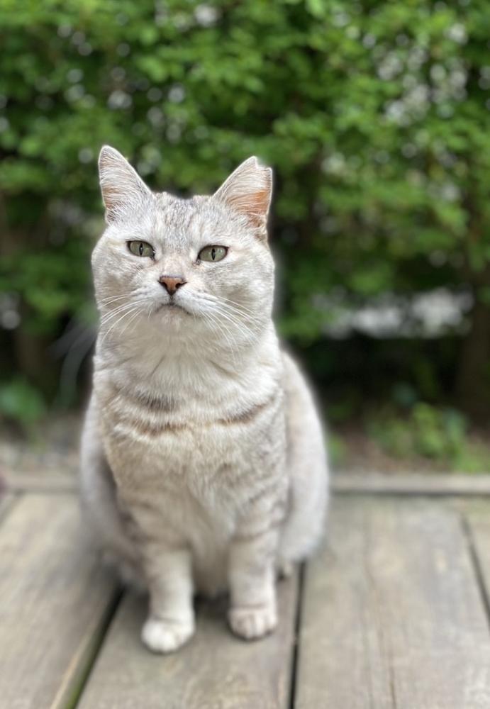波頭洋子