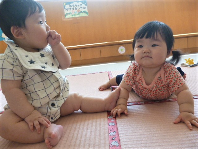 サンプル画像1