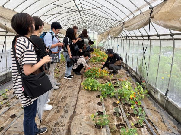 柴田農園 視察