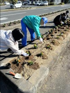 オレンジガーデン11月2