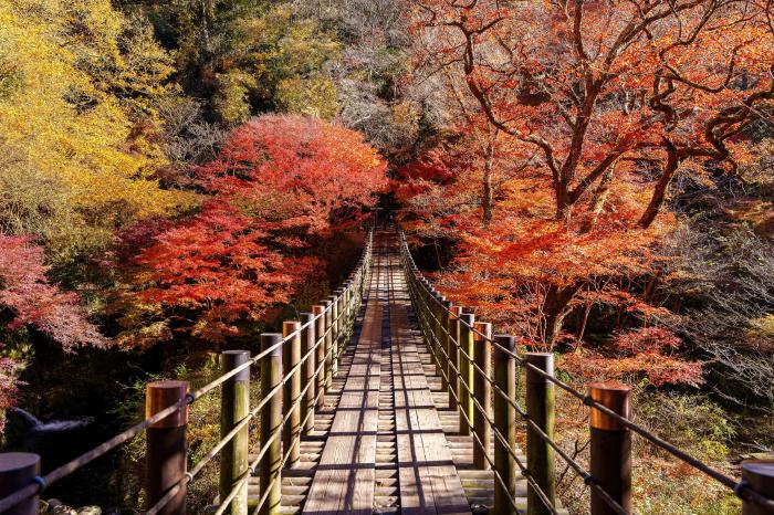 花貫渓谷（ロングトレイル）
